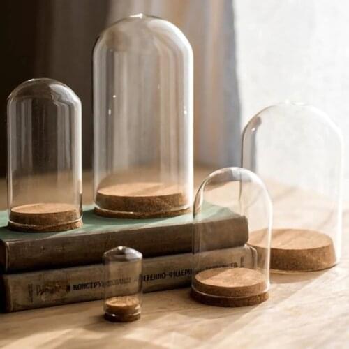 Transparent Dome Glass Landscape Succulent Plants Vase Animation Model Toy Dust Shield Table Decor DIY Gift Storage Show Bottle