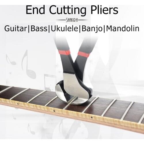 Shakira Musical Instruments