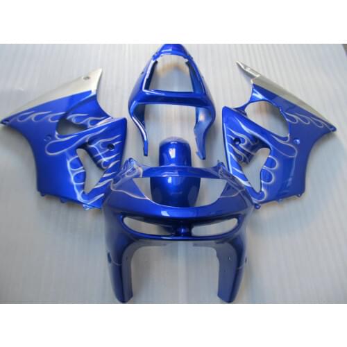 Custom painted Fairing kit for Kawasaki ZX 6R 1998 1999 NINJA zx6r 98 99 silver flames in blue motorcycle fairings set AS4