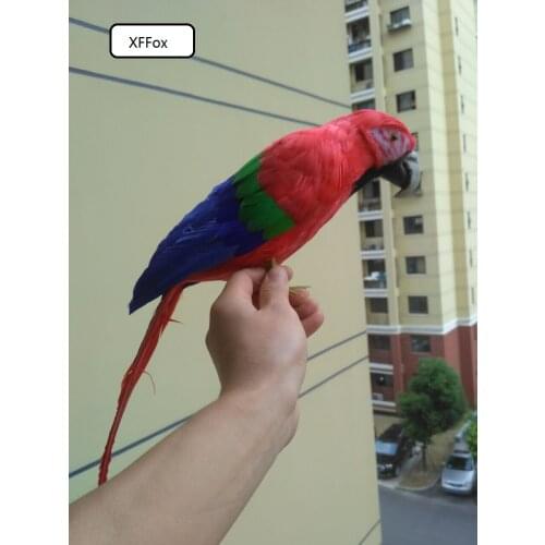 Real life red&blue parrot model foam&feather cute simulation parrot bird gift about 42cm xf0196
