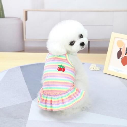 XLeiPet Dresses For Dogs China