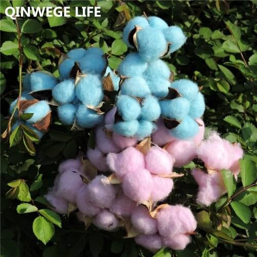 36cm 10pcs Natural Cotton Dry Flower Wedding Home Birthday Party Decoration Pink Blue White No Plant FL6000