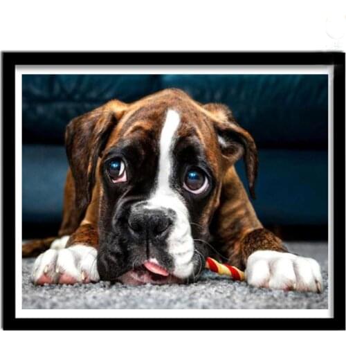 5d Diy Diamond Painting Boxer Dog Full Drill Square Round Diamond Embroidery Mosaic Kit Picture Rhinestones Wall Stickers