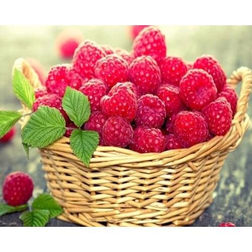 Painting Red Fruit Basket Wild Berry Strawberries DIY 5d Diamond Painting Embroidery Mosaic Needlework Picture By Numbers