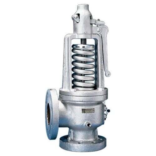 Valve Models 300/600 Safety Relief Valves with SVI2-21113121 positioner