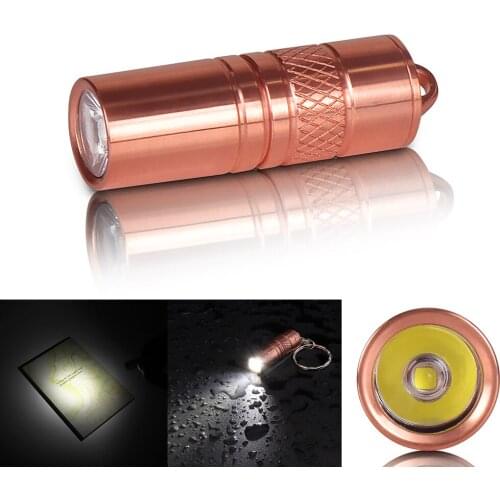 SecurityIng Mini LED Light Flashlight Waterproof Portable 200 Lumens Torch Micro USB Charge 3.7V 10180 Battery Underwater 2M