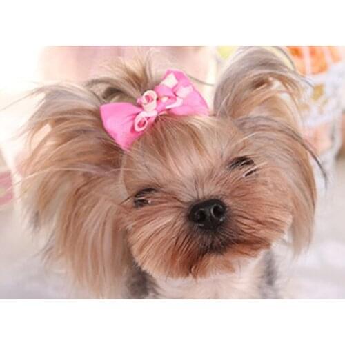 Simple Dog Bowknot Hair Card Teddy Pet Dog Grooming Circle Bowknot Ribbon Hairpin Pet Accessories Supplies