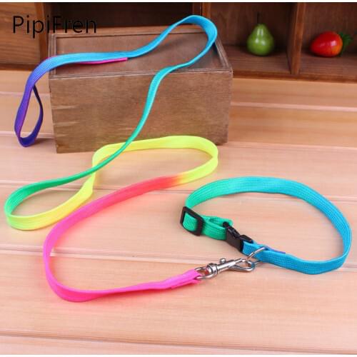 PipiFren Dogs Collar Pets Leash Cats Harness Accessories Puppy For Small Dog Supplies Nylon Colorful perro coleira gato hund