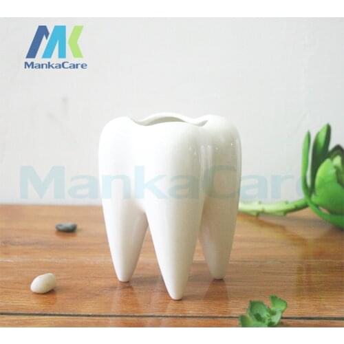 Teeth flowerpot vase tooth statue model dental clinic gift dental toy dental implant tooth orthodontic halloween garden decor