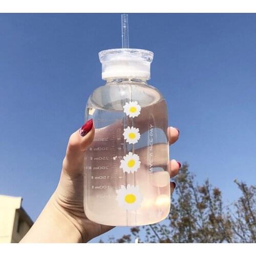 Glass Water Bottle with Straw Creative Daisy Frosted/Transparent Cup Leakproof Portable Drinking Bottle with a Sealing Cap Lid