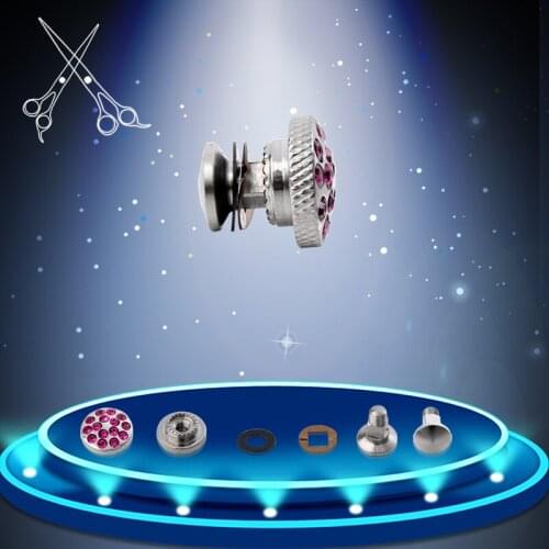 10 sets Assemble Screws For Barber Accessories Tornillo De Rodamiento Full Set Of Hair Scissors Parts Of Screws Vis Palier