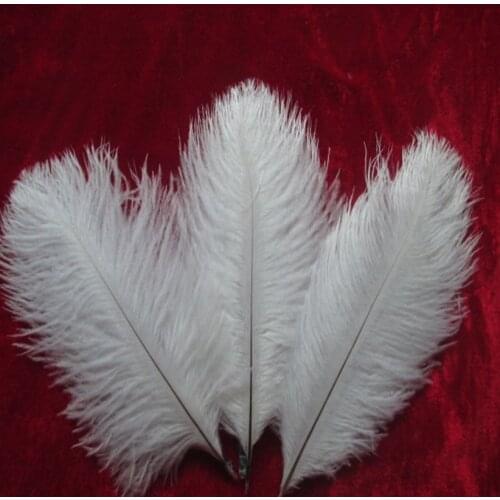 Wholesale 500 PCS / lot white ostrich feathers 15-20 cm 6-8 inches wedding stage decoration