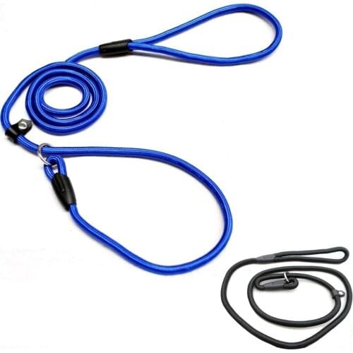 Practical 1.0*140cm Pet Dog Nylon Adjustable Loop Training Lead Collar Leash Traction Rope (Blue)