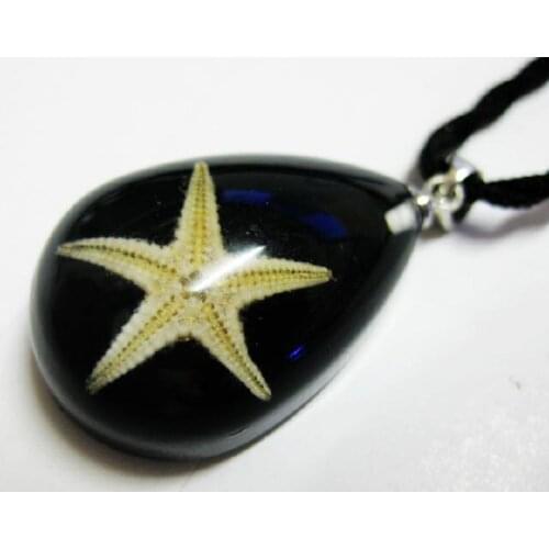 12 PCS NEW REAL BLACK STARFISH LUCITE CHARMING PENDANT INSECT JEWELRY TAXIDERMY GIFT