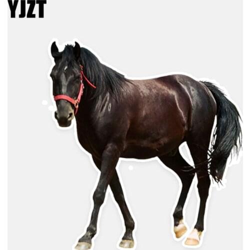 YJZT 13.2CM*14.2CM Personalized Animal Horse PVC Waterproof Car Sticker Decal Graphical 5-0768