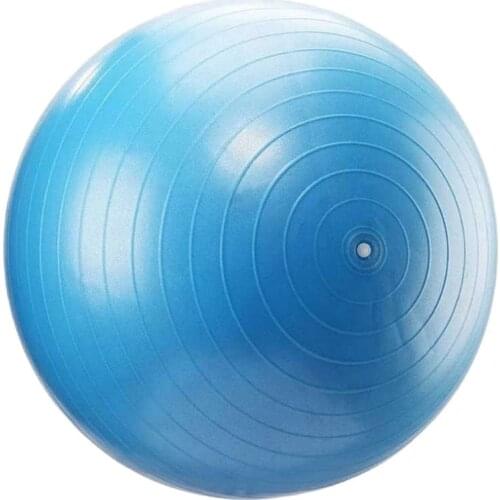 PVC Yoga Ball 65cm Balance Seat Cushion Massage Ball Home Gym Multi Machine