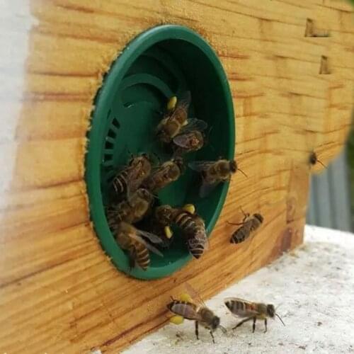 50 pcs Beekeeping Tools Italian Bee Nest Door Of Fir Hive Vent Hole Multifunctional Nest Door Beehive