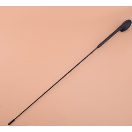 XS8Z18919AA 15081 44XS8Z 18919 AA Roof AM/FM Stereo Radio Antenna Aerial & Base Fit For Ford Focus Fiesta Mondeo Puma Transit