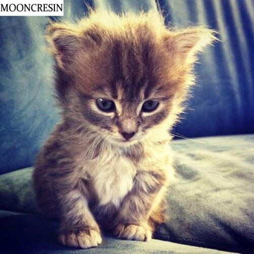 5D Diy Diamond Embroidery Cat Diamond Painting Kit Full Square Rhinestone Needlework Crystal Mosaic Cross Stitch Decoration Home