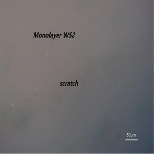 Chemical vapor deposition CVD single layer WS2 film tungsten disulfide isolated single crystal