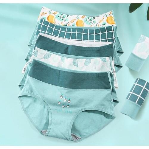 4 Pcs/lot Panties Women Cotton Underwear High Waist Briefs Sexy Lingeries Breathable Print Underpant Seamless Panty Ladies