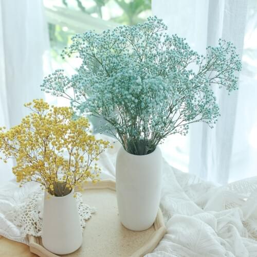 Best 2021 Newyear Home Wedding Decoration High Quality Beautiful Multi-Color Preserved Dried Flower Babysbreath Gypsophila Vase