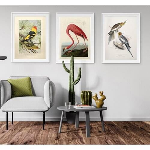 Antique Bird Vintage Poster Print Kind Pink Flamingo Nature Education Wall Art Canvas Painting Picture Kids Room Home Wall Decor