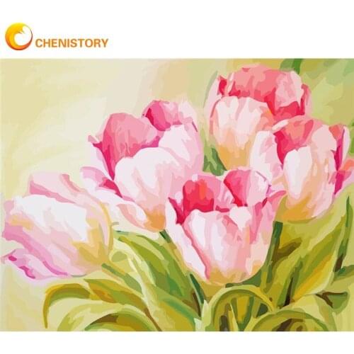 CHENISTORY Painting By Numbers Flower Oil Paint For Kids HandPainted 40x50cm Framed Unique Gift Modern Home Decoration Picture