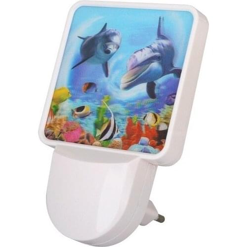 Camelion Night Lights