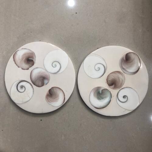 1pcs Natural Conch Ammonite Fossil Slices Specimens Home Decoration