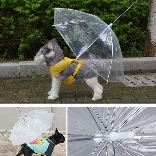 Mic Cat Raincoats For Dogs