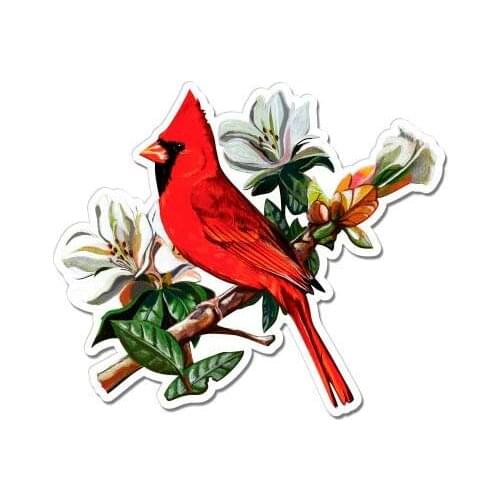 Cardinal - Vinyl Sticker Waterproof Decal