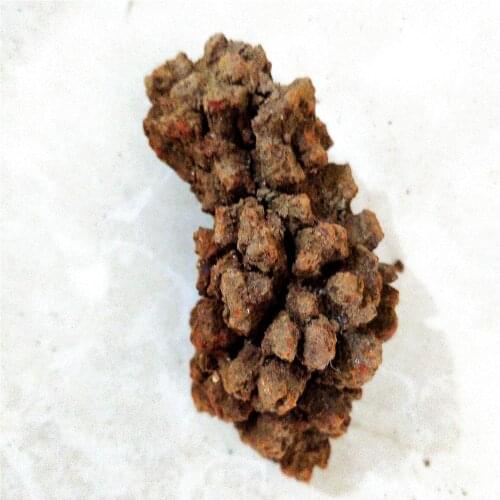 Dinosaur Faeces Fossil Natural Monazite Specimens Rare Rough Minerals Crystal On Earth