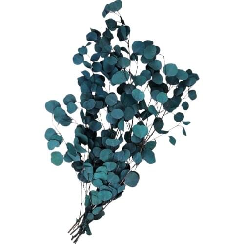 Eucalyptus Dried Flowers Creative Artificial Dried Flower Bouquet Dried Eucalyptus Branches Real Eucalyptus Stems Flower Eucalyp