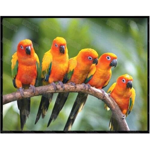 Diy Diamond Painting Modern Wild Animals Birds Birds Hawk Parrots White Doves Personality Creative Niche Hanging Paintings