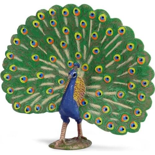 Childrens Toy Simulation Peacock Model Solid Static Wild Animal Bird Model Plastic Decorations and Ornaments