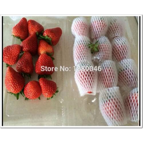 Thicken New white EPE Thick Egg Foam strawberry net mesh sleeve net foam fruit sleeve net packing material Wholesale price