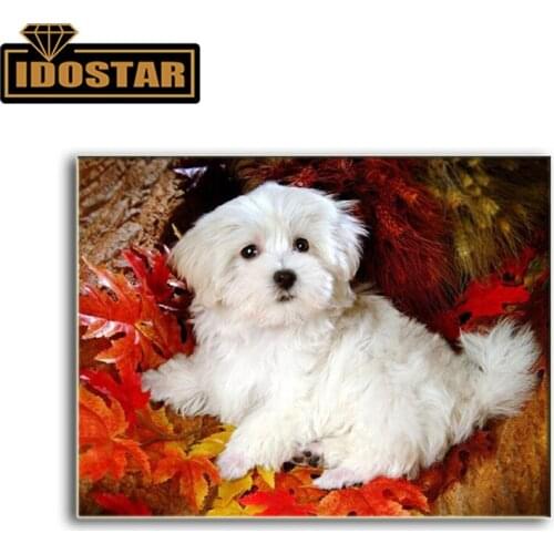 Malta dog 5d diy diamond painting full square / round drill 3d diamond embroidery animal,rhinestone mosaic painting pet