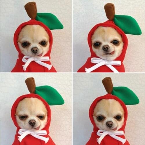 Yorkshires Terrier Winter Clothes For Dogs Sweatshirt Ropa De Mascota Dog Hoodie Small Coat Chihuahua Sweatshirts French Bulldog