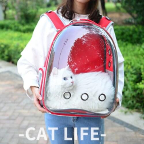 Breathable Beautiful Portable Pet Carrier Bag Outdoor Travel Puppy Cat Bag Transparent Space Pet Backpack Capsule