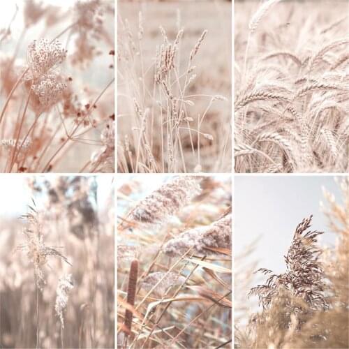 GATYZTORY 60x75cm Frame Painting By Numbers For Adults plants Flower Oil Picture HandPainted Diy On Canvas Home Wall Art