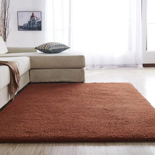 Plush Carpet For Living Room Sofa Blanket Coffee Table Cushion Bedroom Bedside Carpets Imitation Lamb Velvet Rugs 2021 Hall Mats
