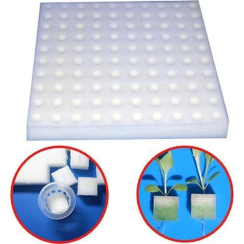 100pieces White Seedling Sponge Soilless Hydroponic Vegetables Nursery Pots Seedlings Cloning Collar Garden Cultivation Plant