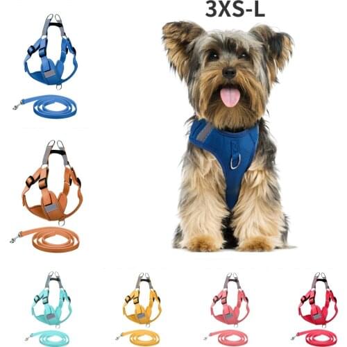 Mnycxen Animal Decorations