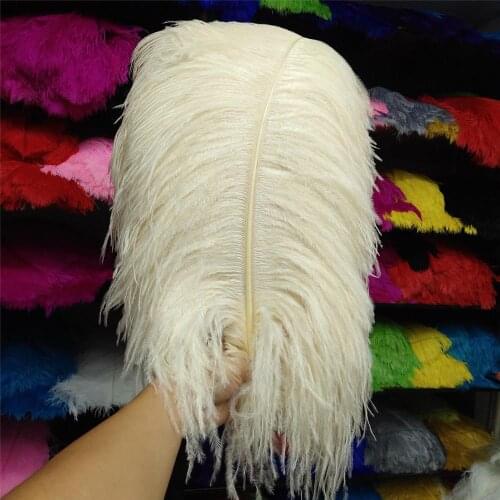 Hot Sales 100pcs Gorgeous Beige 22-24inches/55-60cm DIY jewelry Christmas Halloween Decoration Natural ostrich feathers