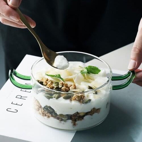 Creative Heat Resistant Glass Fruit Salad Bowl Home Party Tableware Japanese Style Rice Soup Noodle Bowl With Handle