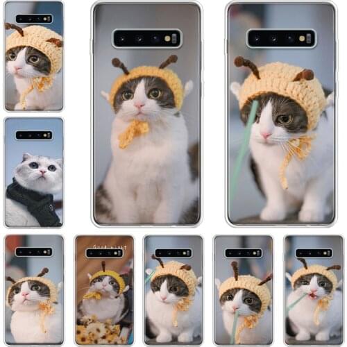 A cat of mixed pedigree with a hat Phone Case For Samsung Galaxy A71 A70 A51 A50 A41 A40 A30 A21 A10 A01 A90 A20S A20E A10S M30S