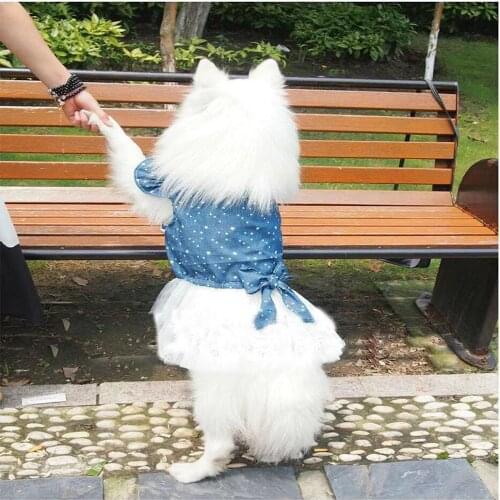 Large Dog Dress Summer Big Dog Clothes Corgi Samoyed Spitzbn Cocker Spaniel Golden Retriever Clothing Denim Skirt Dropshipping