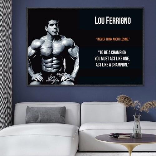 SP071 Silk Cloth Wall Poster Lou Ferrigno Body Building Muscle Exercise Art Home Decoration Gift