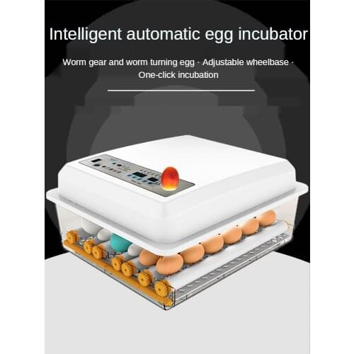 Eggs Incubator 16 Eggs Digita Mini Automatie Incubatores with Turner for Hatching Turkey Goose Quail Chicken Egg Hatcher Machine